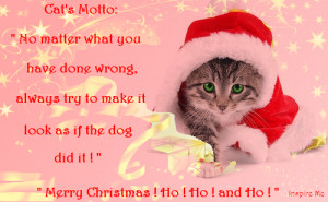 Cat Quote – Merry Christmas