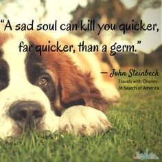 Steinbeck quote from 