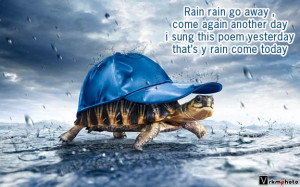 turtle rain vrkmphoto rainy day poem (turtle)