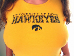 iowa hawkeyes are the well iowa state cyclones they are