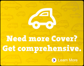 Restricted driver discounts Dodo Rewards (Valued at $199)