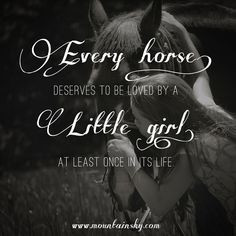 Horse Quotes and Sayings