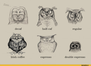 Forums / Discussion / Meme Research