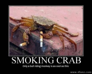 Smoking crab bull riding monkey