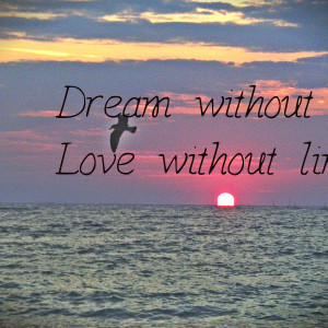 dream without fear love without limits cover