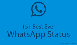 151 Best Ever Whatsapp Status
