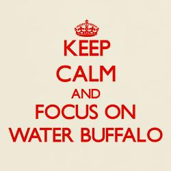 keep_calm_and_focus_on_water_buffalo_tshirt.jpg?height=250&width=250 ...