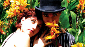 download next wallpaper prev wallpaper