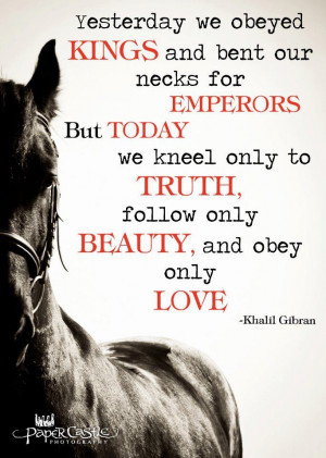 There is no secret so close, as that between a rider and their horse ...