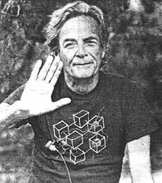 Richard Feynman and The Connection Machine