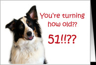 Dog Years, Birthday 51 Years Old card - Product #605320