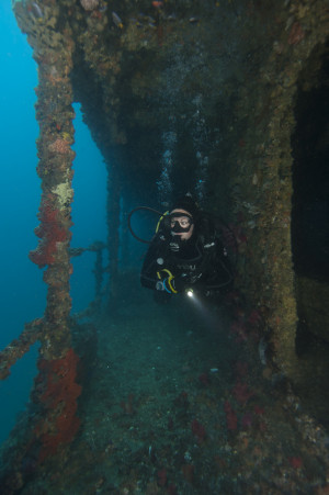 Diver Exploring The Wreck...