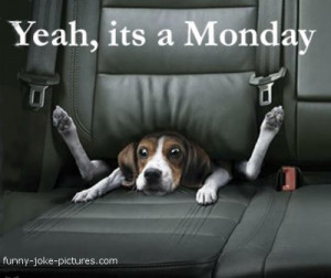 Hilarious Monday Blues Dog Joke Meme Image