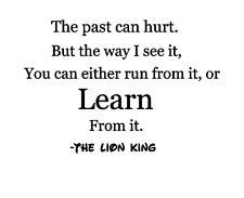 Lion King Quotes The Past Can Hurt The lion king past can hurt