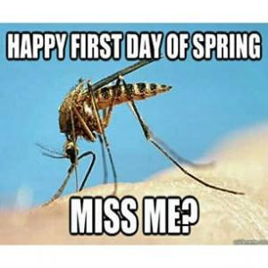 Happy first day of springMiss me?