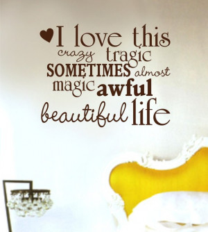 My KitchenAid Mixer — Oh how I love thee! And Oh how I use thee too