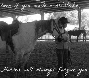 equestrian quotes | Quote /