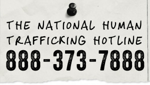 Human Trafficking Hotline Outreach