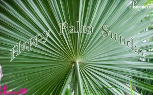 Palm-Sunday-Palm-Image-Wishes-Wallpaper-HD