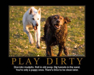 Dog Quote – Play Dirty