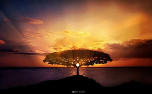 ... divine purpose of life and the true path to enlightenment. To discover