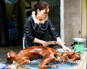 Eating dog meat also popular in China Credit: ifood.tv