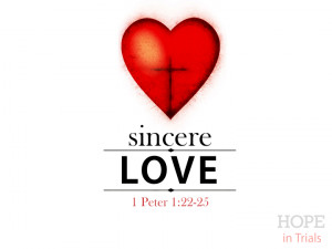 Sincere Sincere-love