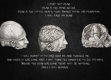 quotes brain Wallpaper HD