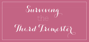 Awesome post with tips on surviving the third trimester! Includes a ...