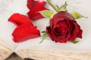 quotes in spanish quotes in spanish about love love quotes in spanish ...