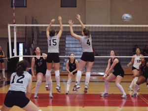 File Volleyball Block