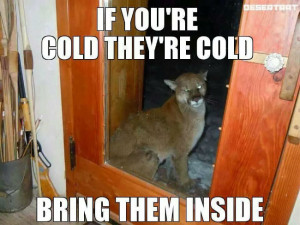 If you’re cold they’re cold…