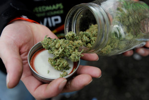 marijuana aficionado displays a jar of weed he grew. Seth McConnell ...
