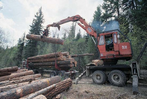 Kootenai National Forest