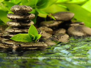 God sleeps in the minerals, awakens in plants, walks in animals, and ...