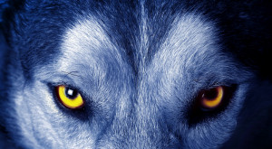 Urban Legends, #Werewolf and #Lycan