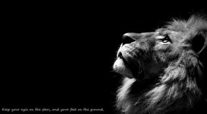 lion quote
