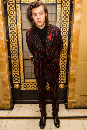 Not that important,' Harry Styles on gender in a relationship.