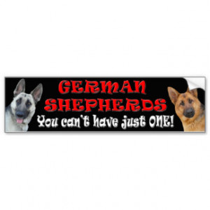 Cute German Shepherd Bumper Sticker Car Bumper Sticker