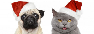 funny-dogs-cats-christmas-fb-cover