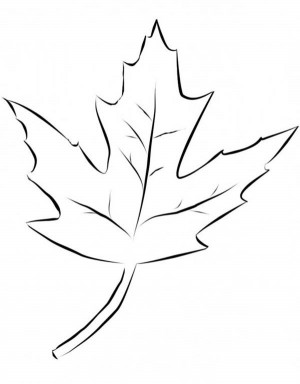 Maple Leaf Coloring Page Pages
