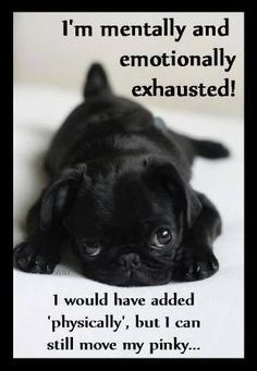 mentally and emotionally exhausted! I would have added 'physically ...