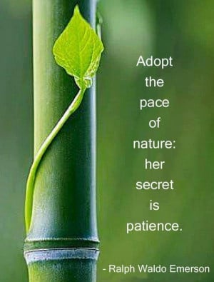 ... pace of nature: her secret is patience. - Ralph Waldo Emerson quote