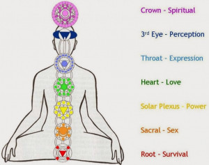 some of the chakras are fairly obvious in that the heart chakra ...