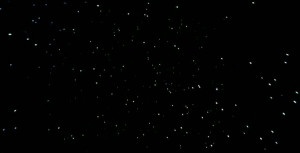 Space, the Final Frontier