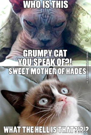 Grumpy Cat meets his bane