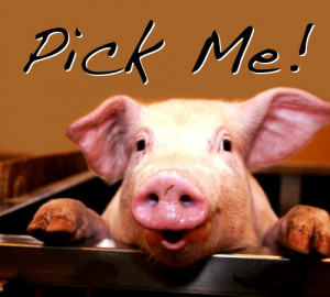 The difference between the chicken and the hog on the bacon and eggs ...