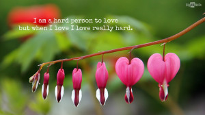 flowers-with-love-quote-HD-wallpaper