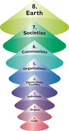 ... of human social systems something to think about systems thinking