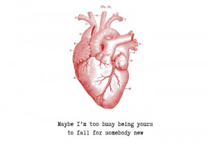 Arctic Monkeys - Do I wanna Know? Best line in the whole song, 